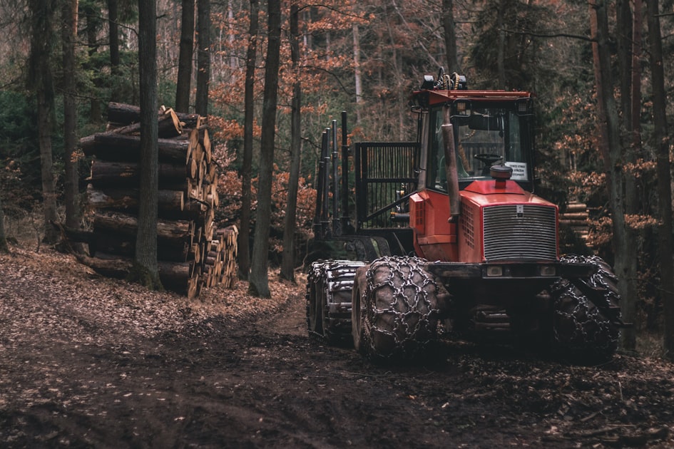 Why Experience Matters in Excavation